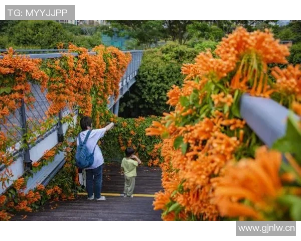 深圳新鹏城十月赛事安排一览表助您畅享精彩活动
